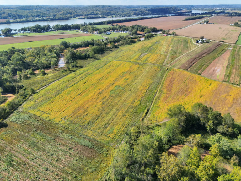 10 Thompson Aerial toward river and road 1 768x576