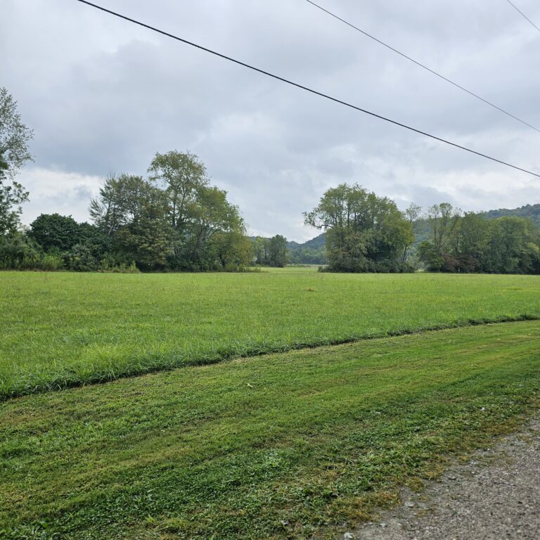 20250904 134249 768x768