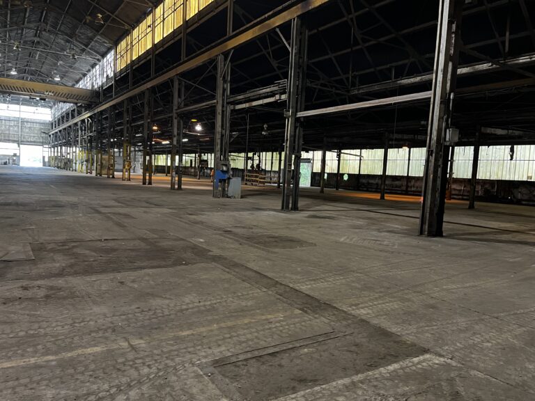 Crane Closeup 768x576