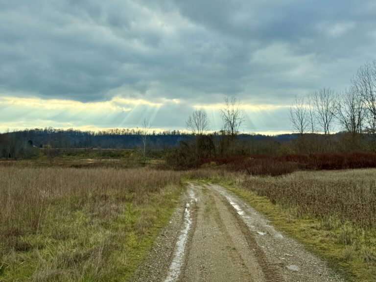 Jesco Aerial 17 Access Road 768x576