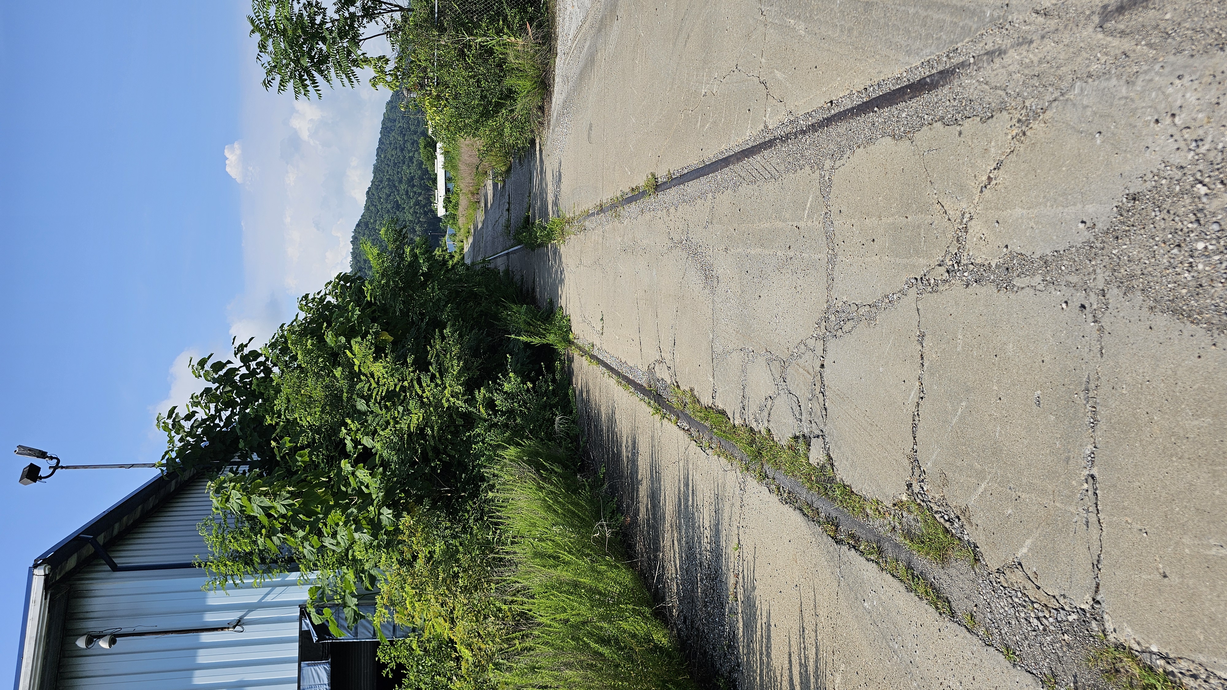 Rail